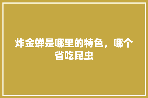 炸金蝉是哪里的特色，哪个省吃昆虫