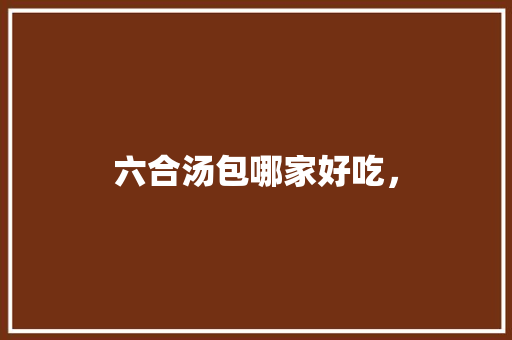 六合汤包哪家好吃，