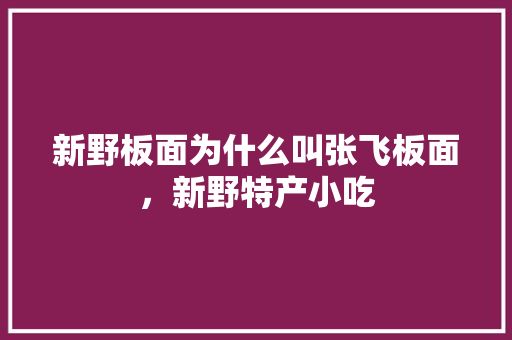 新野板面为什么叫张飞板面，新野特产小吃