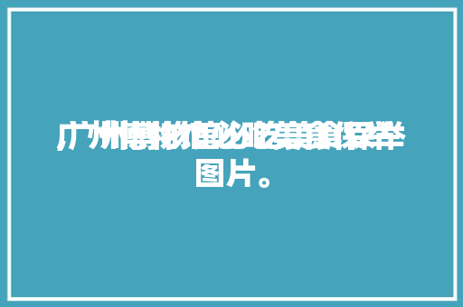广州博物馆必吃美食保举
,广州博物馆必吃美食保举
图片。 广州博物馆必吃美食保举
,广州博物馆必吃美食保举
图片。 美食推荐