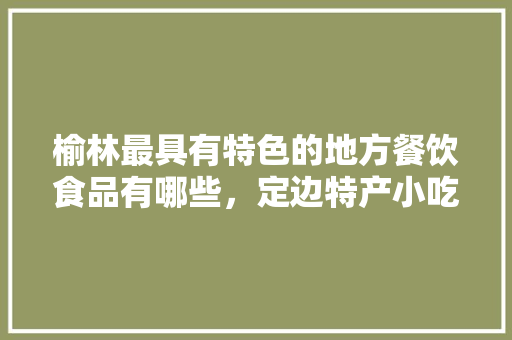 榆林最具有特色的地方餐饮食品有哪些，定边特产小吃