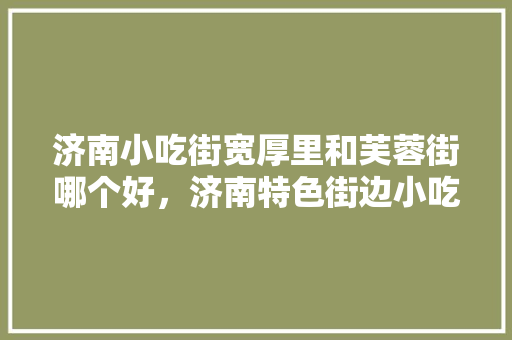 济南小吃街宽厚里和芙蓉街哪个好，济南特色街边小吃 济南小吃街宽厚里和芙蓉街哪个好，济南特色街边小吃 美食推荐