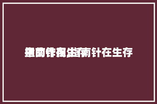 指南针在生存
里的作用,指南针在生存
中的作用。 指南针在生存
里的作用,指南针在生存
中的作用。 生活指南