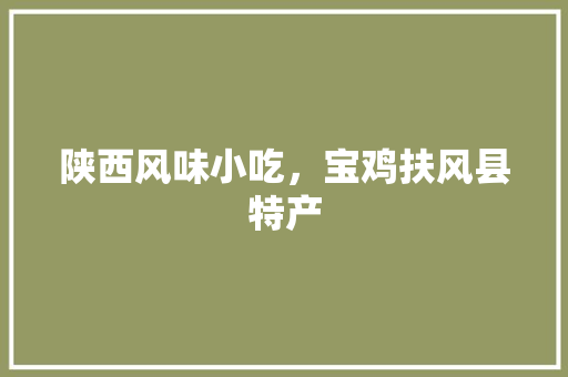 陕西风味小吃，宝鸡扶风县特产 陕西风味小吃，宝鸡扶风县特产 家居窍门