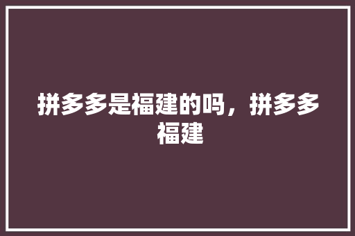 拼多多是福建的吗，拼多多 福建 拼多多是福建的吗，拼多多 福建 生活指南