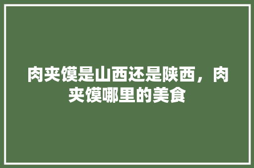肉夹馍是山西还是陕西，肉夹馍哪里的美食 肉夹馍是山西还是陕西，肉夹馍哪里的美食 生活指南