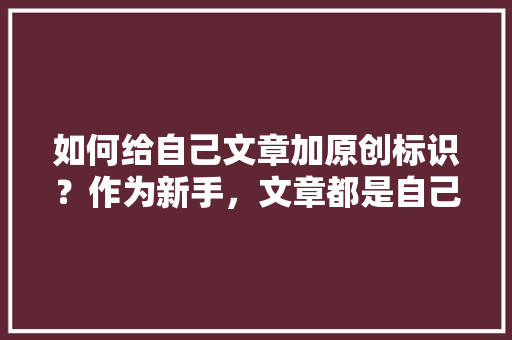 如何给自己文章加原创标识？作为新手，文章都是自己撰写的，如何操作才能显示原创，地方小吃菜谱 如何给自己文章加原创标识？作为新手，文章都是自己撰写的，如何操作才能显示原创，地方小吃菜谱 家居窍门