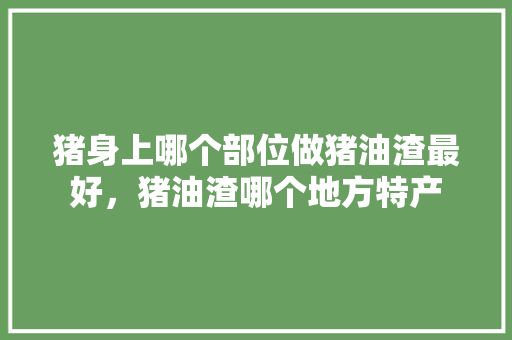 猪身上哪个部位做猪油渣最好，猪油渣哪个地方特产 猪身上哪个部位做猪油渣最好，猪油渣哪个地方特产 健康建议