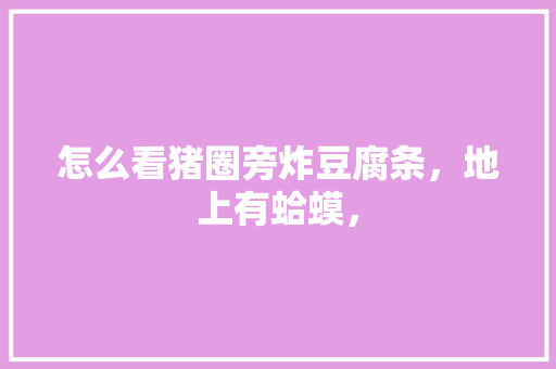 怎么看猪圈旁炸豆腐条，地上有蛤蟆， 怎么看猪圈旁炸豆腐条，地上有蛤蟆， 家居窍门