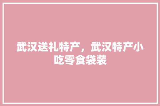 武汉送礼特产，武汉特产小吃零食袋装 武汉送礼特产，武汉特产小吃零食袋装 生活指南