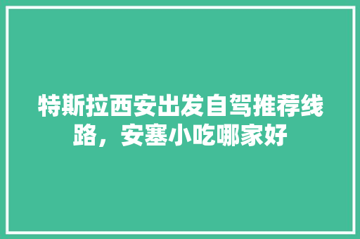特斯拉西安出发自驾推荐线路，安塞小吃哪家好 特斯拉西安出发自驾推荐线路，安塞小吃哪家好 家居窍门