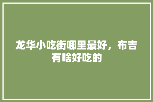 龙华小吃街哪里最好，布吉有啥好吃的