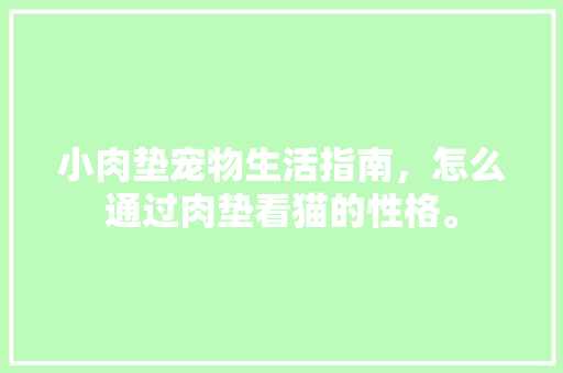 小肉垫宠物生活指南，怎么通过肉垫看猫的性格。