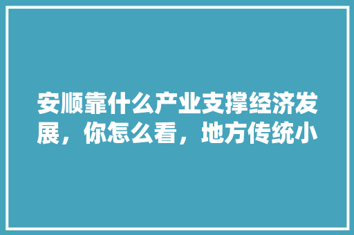 安顺靠什么产业支撑经济发展，你怎么看，地方传统小吃怎样发展
