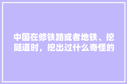 中国在修铁路或者地铁、挖隧道时，挖出过什么奇怪的东西，和硕县特色美食 中国在修铁路或者地铁、挖隧道时，挖出过什么奇怪的东西，和硕县特色美食 美食推荐