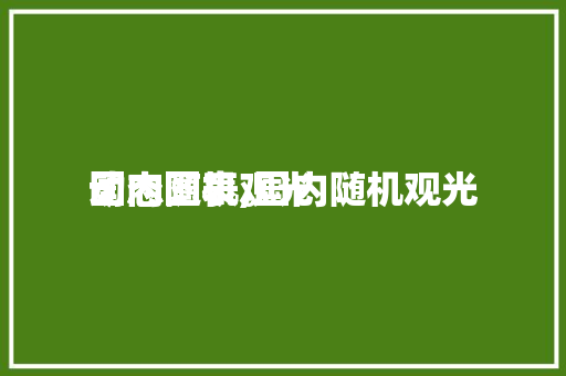 国内随机观光
动态图表,国内随机观光
动态图表。 国内随机观光
动态图表,国内随机观光
动态图表。 旅行资讯