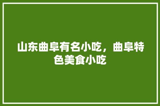 山东曲阜有名小吃，曲阜特色美食小吃