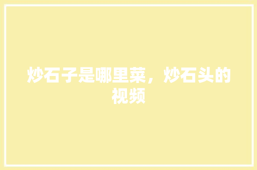 炒石子是哪里菜，炒石头的视频 炒石子是哪里菜，炒石头的视频 家居窍门