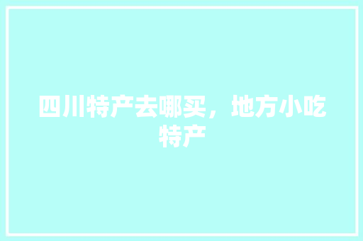 四川特产去哪买，地方小吃特产