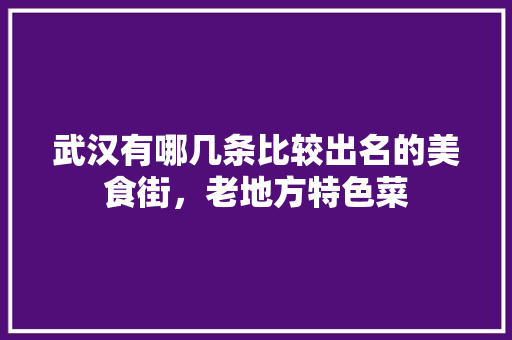 武汉有哪几条比较出名的美食街，老地方特色菜 武汉有哪几条比较出名的美食街，老地方特色菜 美食推荐