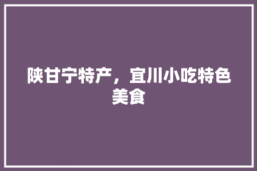 陕甘宁特产，宜川小吃特色美食 陕甘宁特产，宜川小吃特色美食 家居窍门