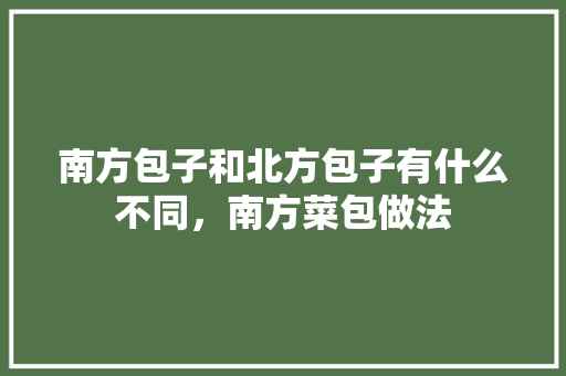南方包子和北方包子有什么不同，南方菜包做法 南方包子和北方包子有什么不同，南方菜包做法 家居窍门