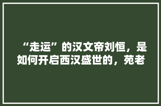 “走运”的汉文帝刘恒，是如何开启西汉盛世的，苑老四牌子 “走运”的汉文帝刘恒，是如何开启西汉盛世的，苑老四牌子 健康建议