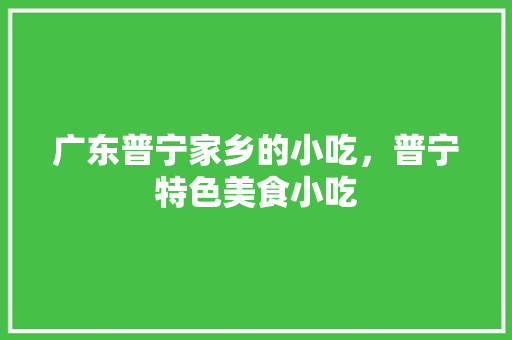 广东普宁家乡的小吃，普宁特色美食小吃 广东普宁家乡的小吃，普宁特色美食小吃 美食推荐