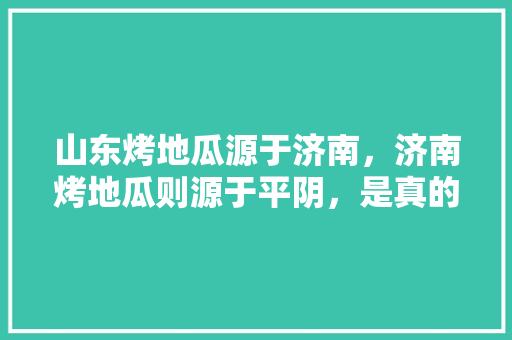 山东烤地瓜源于济南，济南烤地瓜则源于平阴，是真的吗，平阴特色美食小吃 山东烤地瓜源于济南，济南烤地瓜则源于平阴，是真的吗，平阴特色美食小吃 生活指南