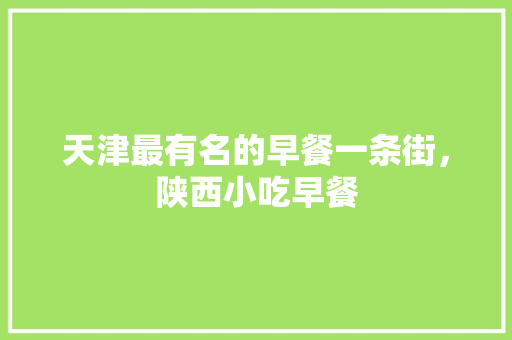 天津最有名的早餐一条街，陕西小吃早餐 天津最有名的早餐一条街，陕西小吃早餐 健康建议