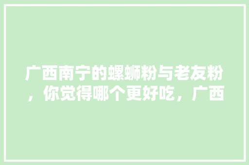广西南宁的螺蛳粉与老友粉，你觉得哪个更好吃，广西老友粉介绍 广西南宁的螺蛳粉与老友粉，你觉得哪个更好吃，广西老友粉介绍 旅行资讯