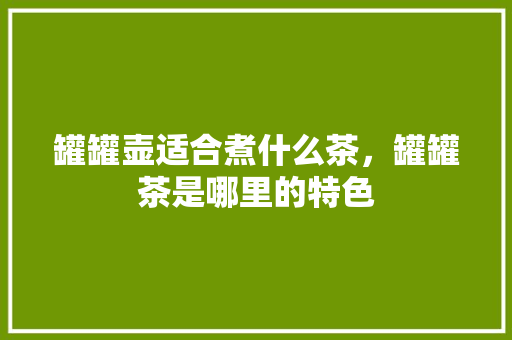 罐罐壶适合煮什么茶，罐罐茶是哪里的特色 罐罐壶适合煮什么茶，罐罐茶是哪里的特色 生活指南