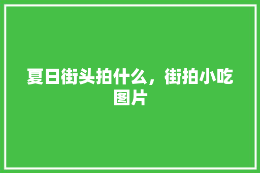 夏日街头拍什么，街拍小吃图片 夏日街头拍什么，街拍小吃图片 家居窍门