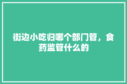 街边小吃归哪个部门管，食药监管什么的 街边小吃归哪个部门管，食药监管什么的 生活指南