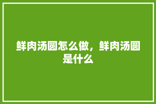 鲜肉汤圆怎么做，鲜肉汤圆是什么 鲜肉汤圆怎么做，鲜肉汤圆是什么 家居窍门