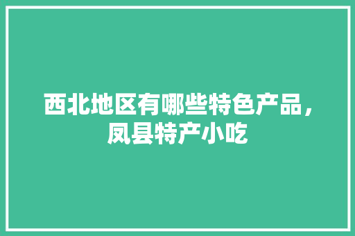 西北地区有哪些特色产品，凤县特产小吃