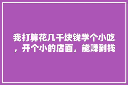 我打算花几千块钱学个小吃，开个小的店面，能赚到钱吗，小吃拍摄 我打算花几千块钱学个小吃，开个小的店面，能赚到钱吗，小吃拍摄 健康建议