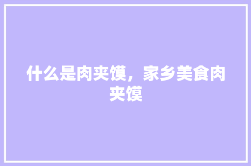 什么是肉夹馍，家乡美食肉夹馍
