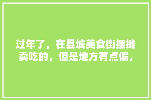 过年了，在县城美食街摆摊卖吃的，但是地方有点偏，有什么好办法能赚到过年钱，特色美食小吃摆摊