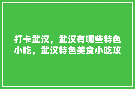 打卡武汉，武汉有哪些特色小吃，武汉特色美食小吃攻略