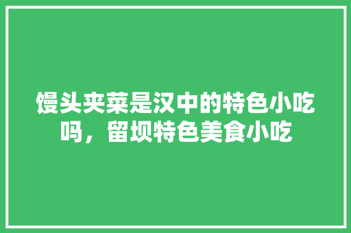 馒头夹菜是汉中的特色小吃吗，留坝特色美食小吃