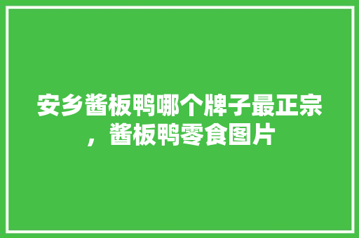 安乡酱板鸭哪个牌子最正宗，酱板鸭零食图片 安乡酱板鸭哪个牌子最正宗，酱板鸭零食图片 家居窍门