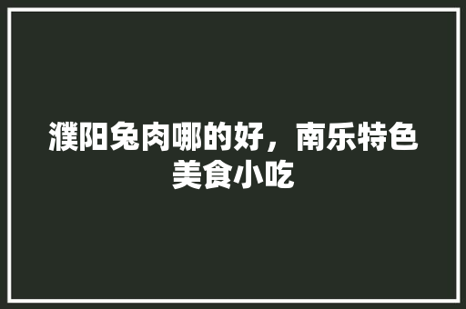 濮阳兔肉哪的好，南乐特色美食小吃