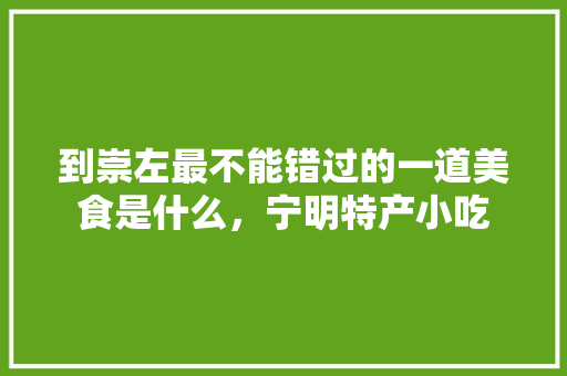 到崇左最不能错过的一道美食是什么，宁明特产小吃