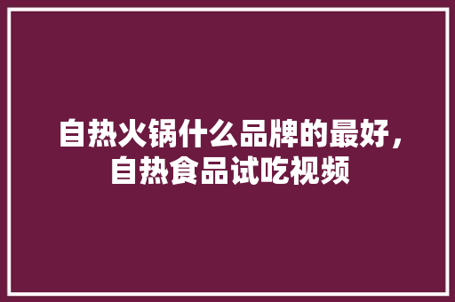 自热火锅什么品牌的最好，自热食品试吃视频