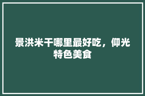 景洪米干哪里最好吃，仰光特色美食 景洪米干哪里最好吃，仰光特色美食 旅行资讯