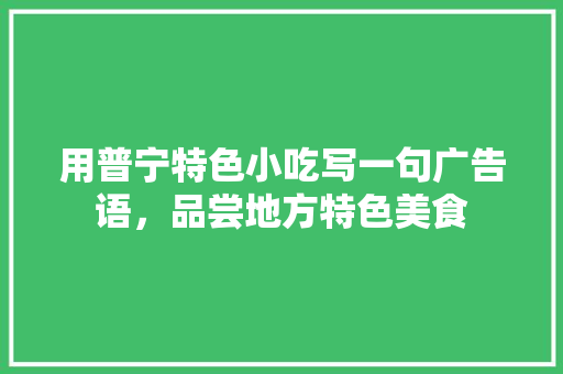用普宁特色小吃写一句广告语，品尝地方特色美食