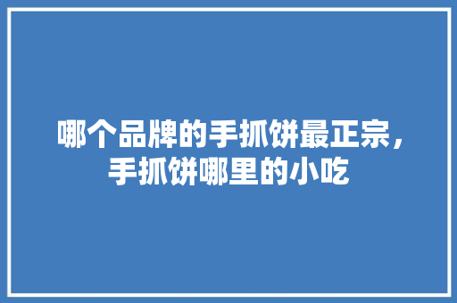 哪个品牌的手抓饼最正宗，手抓饼哪里的小吃