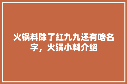 火锅料除了红九九还有啥名字，火锅小料介绍
