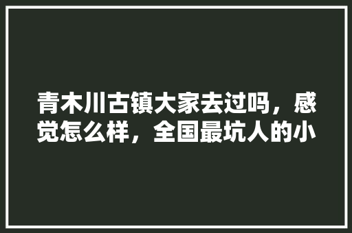 青木川古镇大家去过吗，感觉怎么样，全国最坑人的小吃街 青木川古镇大家去过吗，感觉怎么样，全国最坑人的小吃街 美食推荐